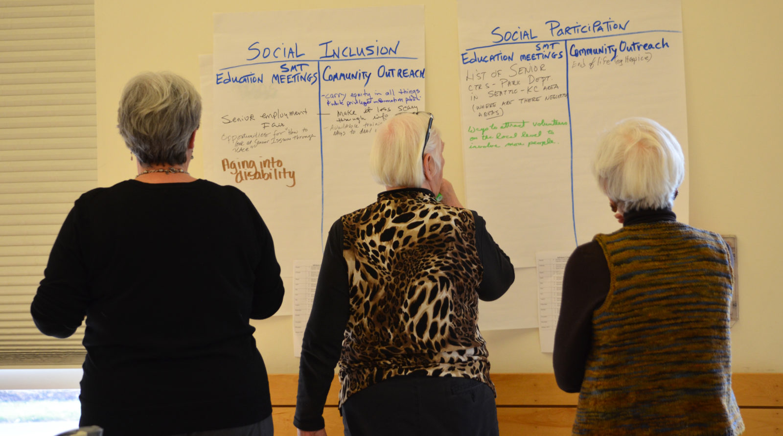 Photo shows the backs of three older women as they consider two pages of flipcharts on the wall--one labelled "social inclusion," the other labelled "social participation."