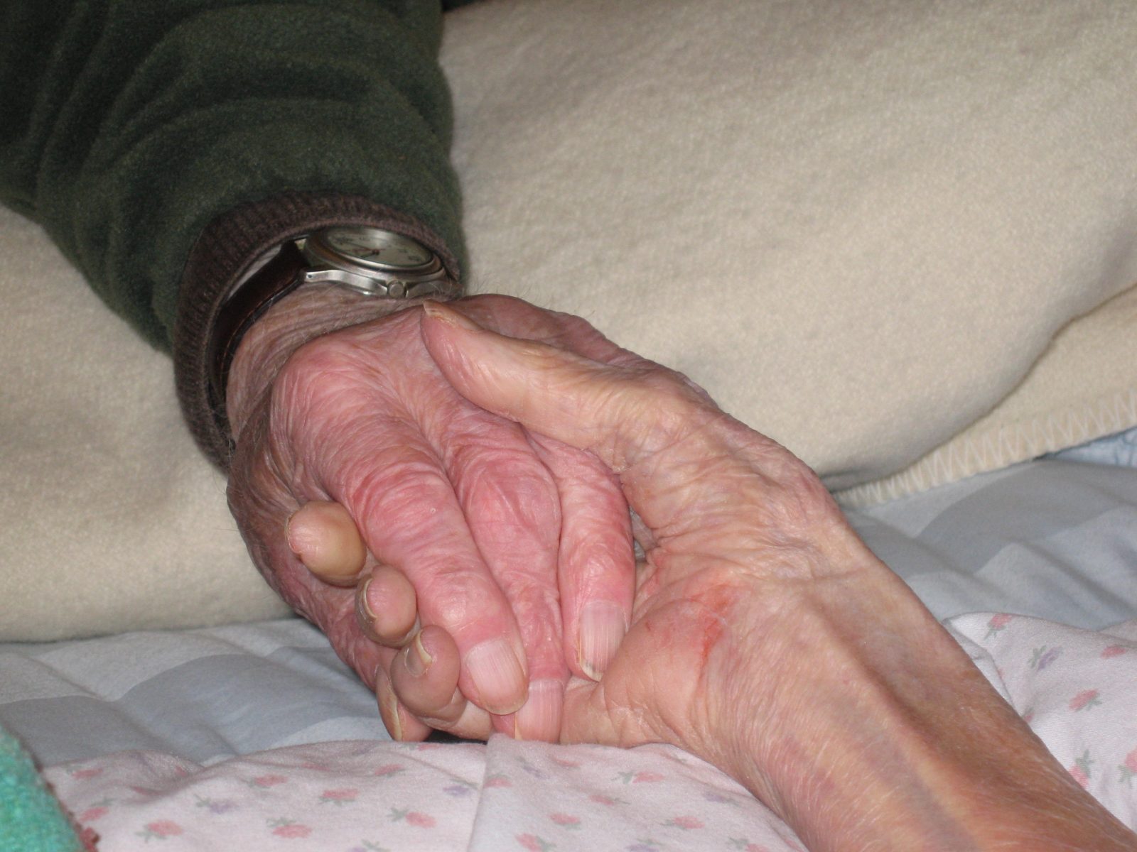 Closeup of older couple holding each other's hand.