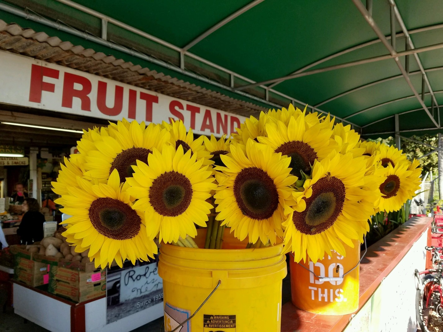 Bright sunflowers for sale in a bucket at a farmers market.