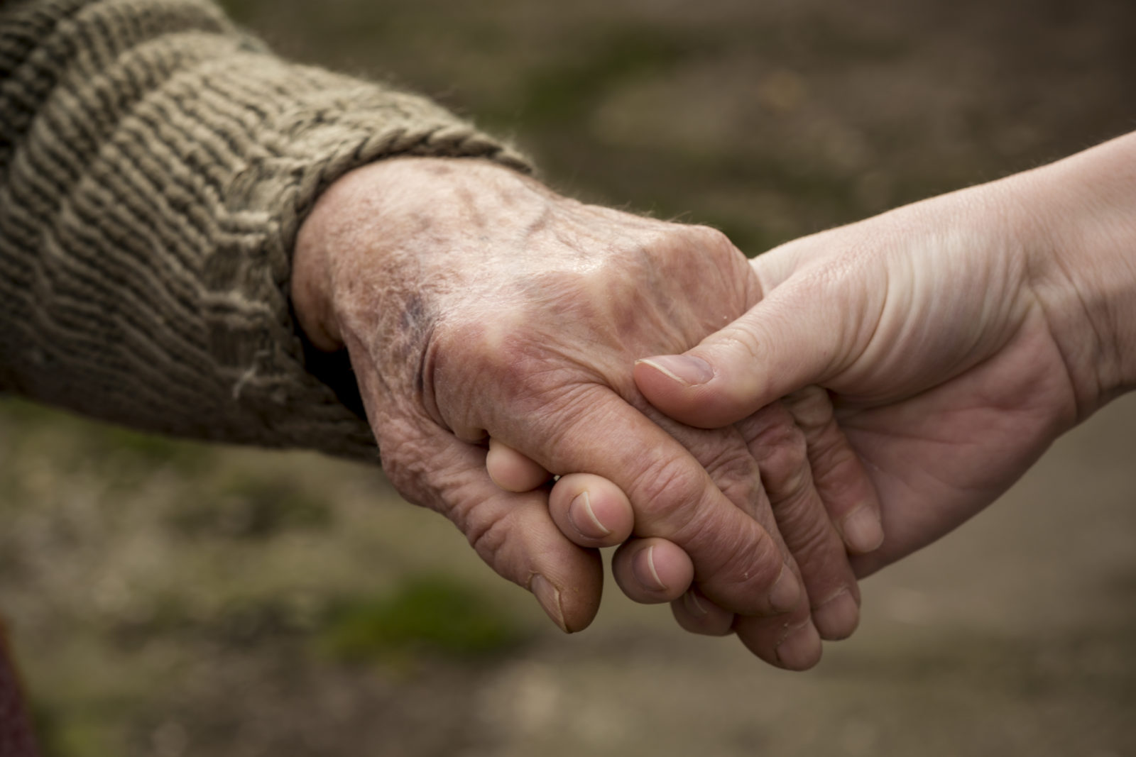 Old and young person holding hands.