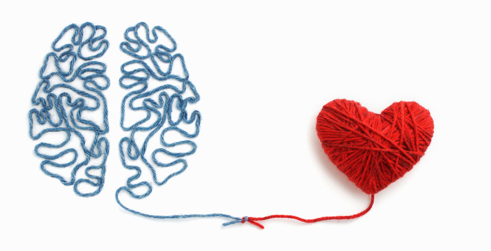 photo shows a blue yarn drawing of a brain tied to a red yarn drawing of a heart