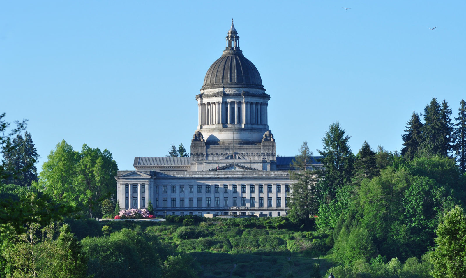 Photo of the Washington State Capitol Building in Olympia