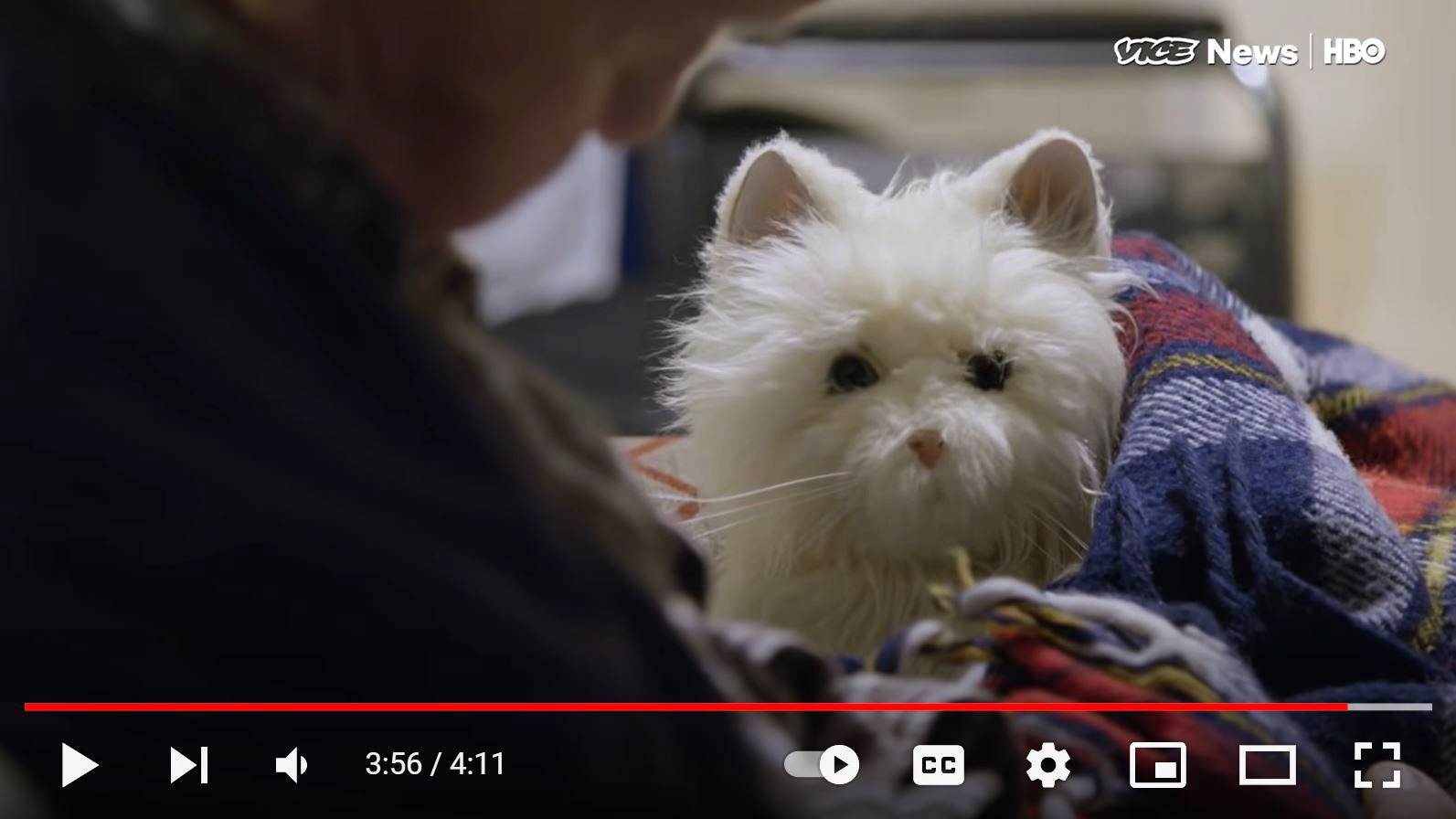 screenshot from video showing robotic pets at a nursing home in Massachusetts - link to video at bottom of article