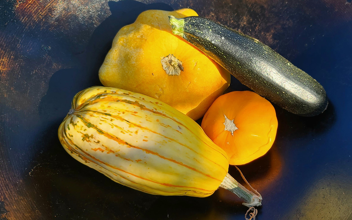 4 types of fall squash