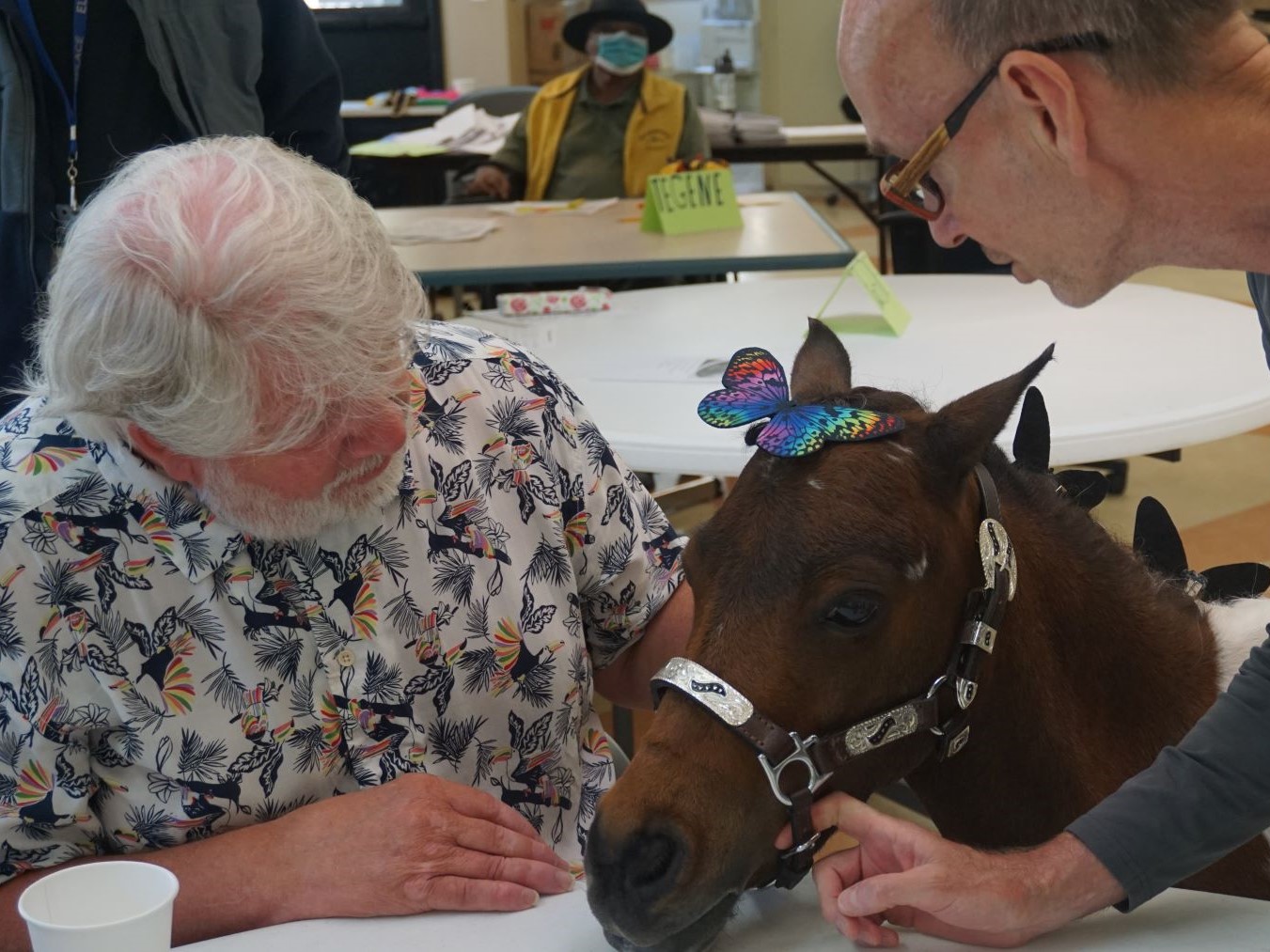 older person with a miniature horse used for therapy